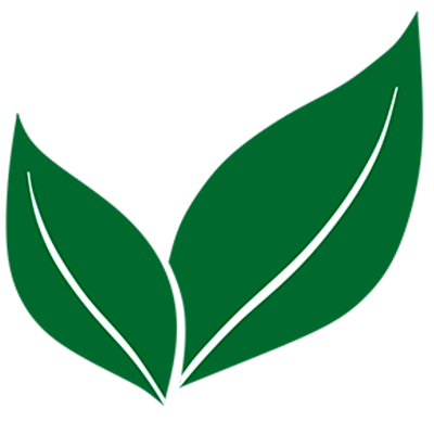 Rodrigo Nicoletti 